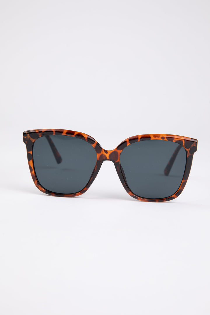 Daytona Sunglasses - Tortoiseshell